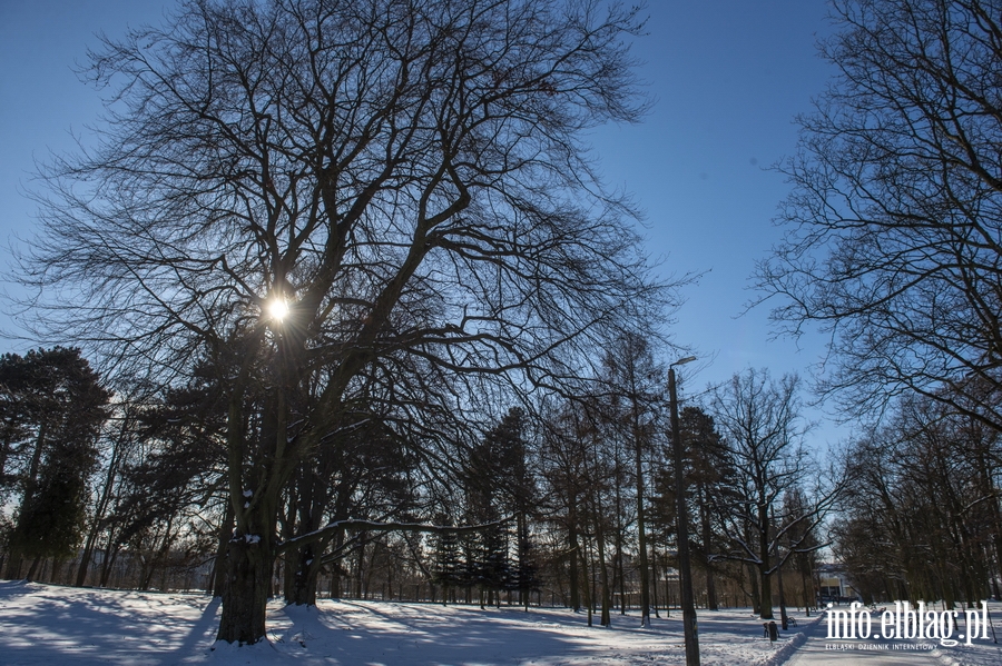 Park Modrzewie zimow por..., fot. 15