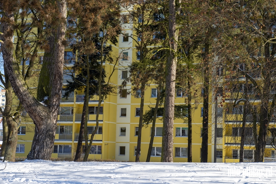 Park Modrzewie zimową porą..., fot. 17