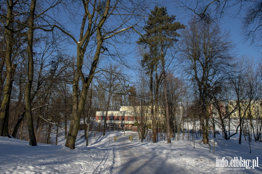 Park Modrzewie zimową porą..., fot. 36