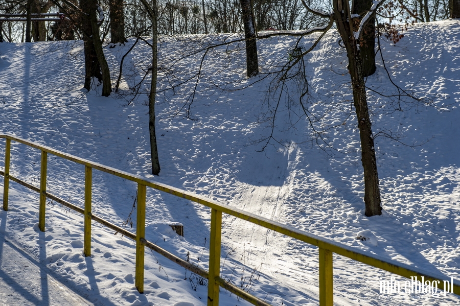 Park Modrzewie zimową porą..., fot. 40