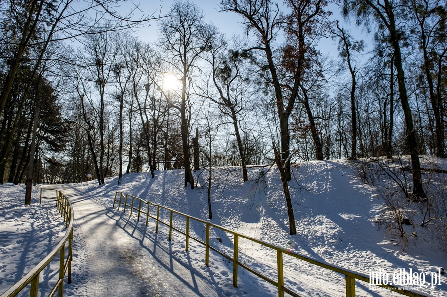 Park Modrzewie zimową porą..., fot. 41