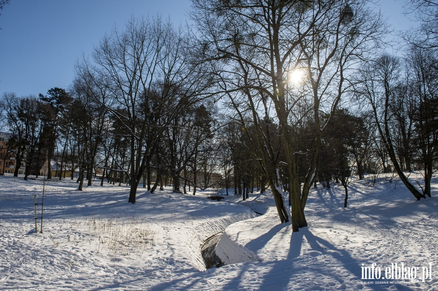 Park Modrzewie zimow por..., fot. 44
