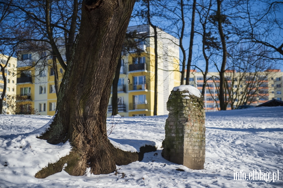 Park Modrzewie zimową porą..., fot. 48