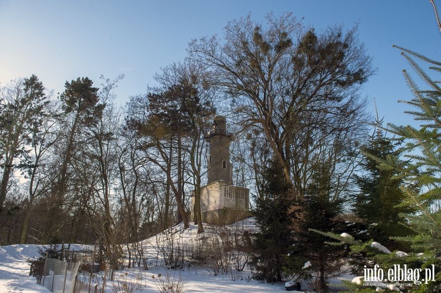 Park Modrzewie zimową porą..., fot. 55