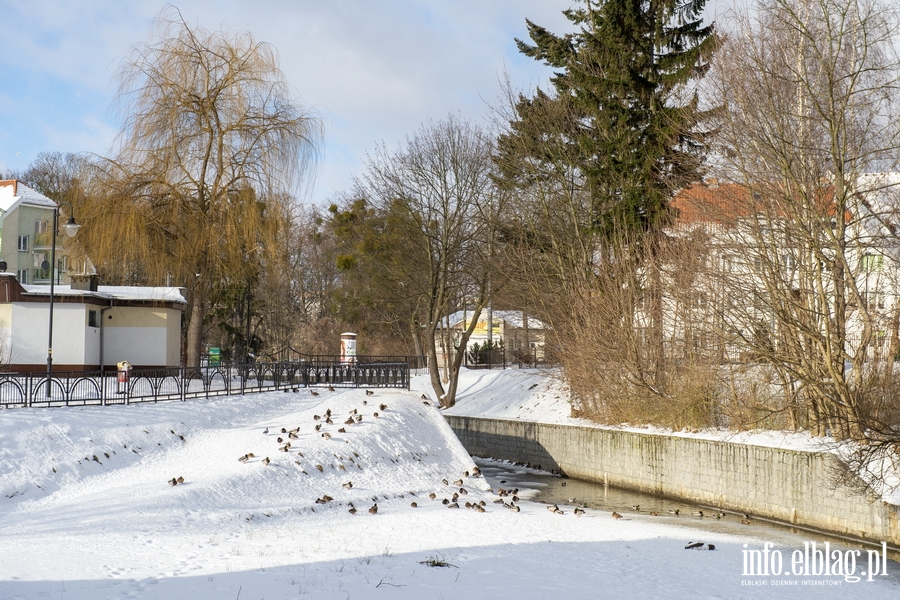 Rzeka Elblg, Kumiela i wodospad w zimowej aurze, fot. 44