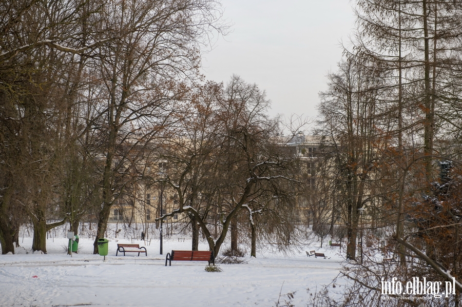 Park Traugutta zim, fot. 2