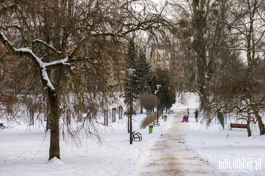 Park Traugutta zimą, fot. 14