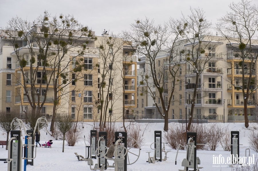 Park Traugutta zimą, fot. 16