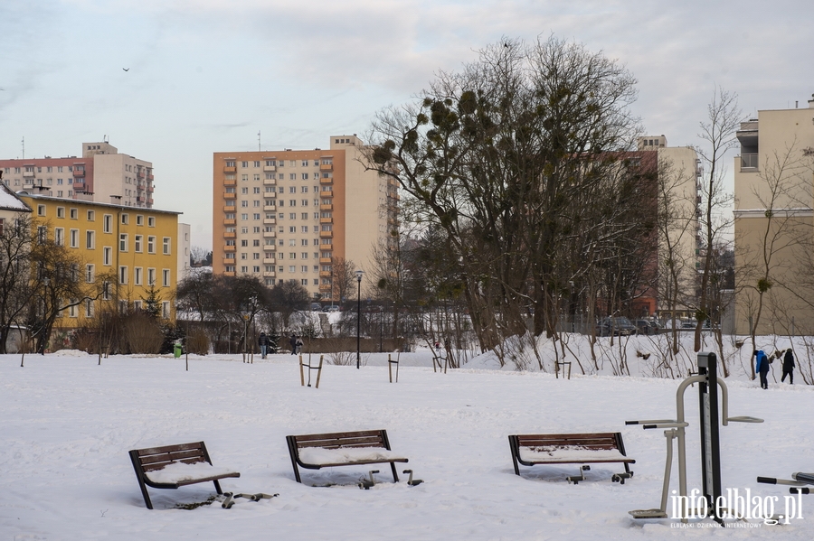 Park Traugutta zim, fot. 17