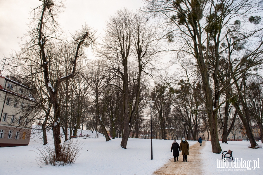 Park Traugutta zimą, fot. 31