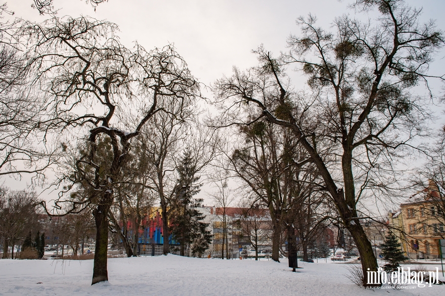 Park Traugutta zim, fot. 41