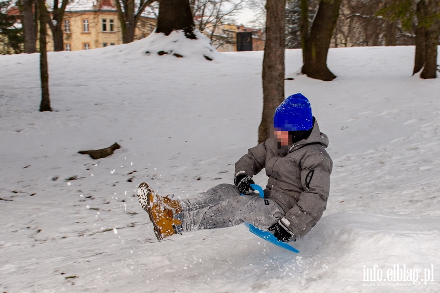 Park Traugutta zimą, fot. 50