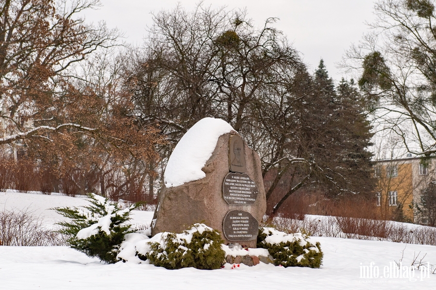 Park Traugutta zimą, fot. 53