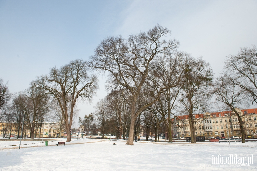 Park Planty zim, fot. 26