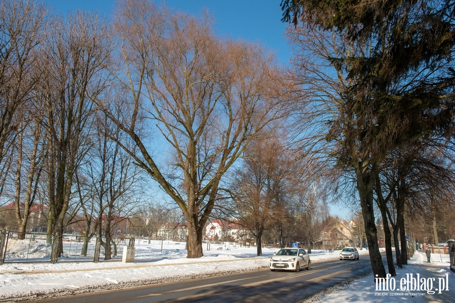 Park im. Generaa Bolesawa Nieczuja-Ostrowskiego zimow por, fot. 2