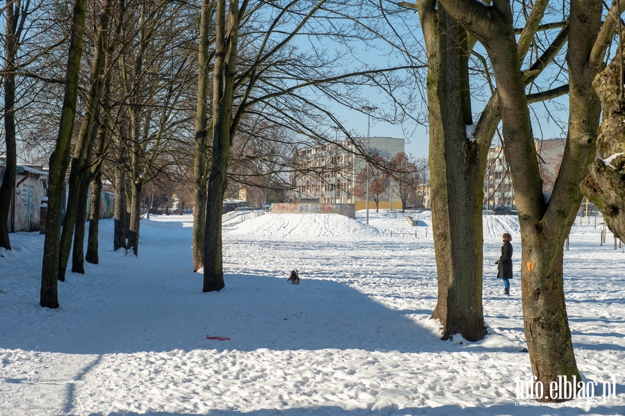 Park im. Generaa Bolesawa Nieczuja-Ostrowskiego zimow por, fot. 4