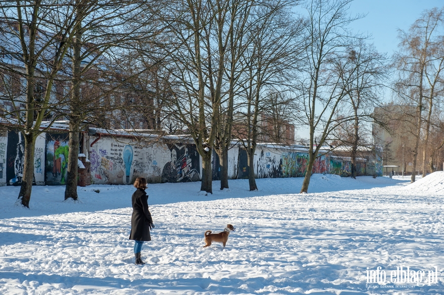 Park im. Generaa Bolesawa Nieczuja-Ostrowskiego zimow por, fot. 8