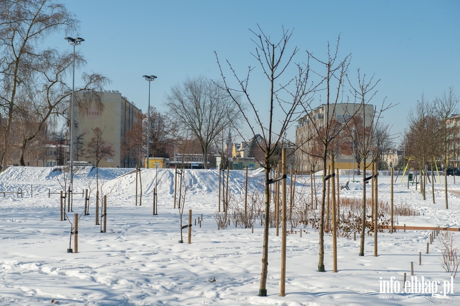 Park im. Generaa Bolesawa Nieczuja-Ostrowskiego zimow por, fot. 11