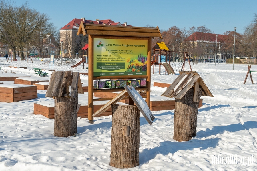 Park im. Generaa Bolesawa Nieczuja-Ostrowskiego zimow por, fot. 14