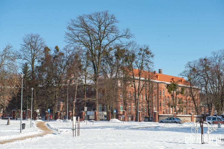 Park im. Generaa Bolesawa Nieczuja-Ostrowskiego zimow por, fot. 16