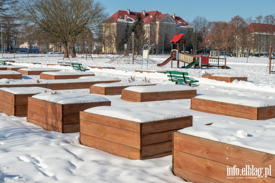 Park im. Generaa Bolesawa Nieczuja-Ostrowskiego zimow por, fot. 17