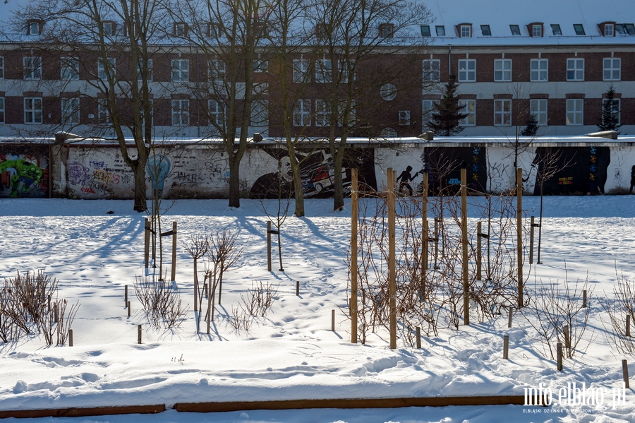 Park im. Generaa Bolesawa Nieczuja-Ostrowskiego zimow por, fot. 18