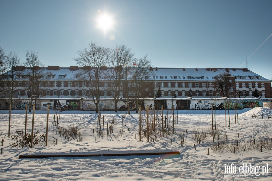 Park im. Generaa Bolesawa Nieczuja-Ostrowskiego zimow por, fot. 19