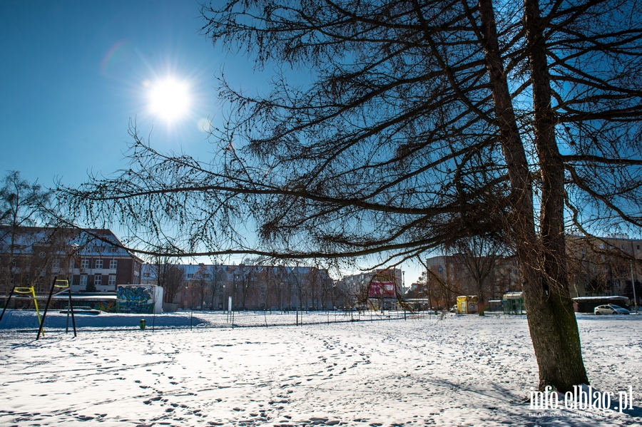 Park im. Generaa Bolesawa Nieczuja-Ostrowskiego zimow por, fot. 34