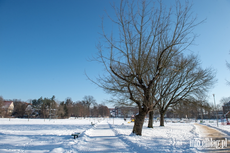 Park im. Generaa Bolesawa Nieczuja-Ostrowskiego zimow por, fot. 35