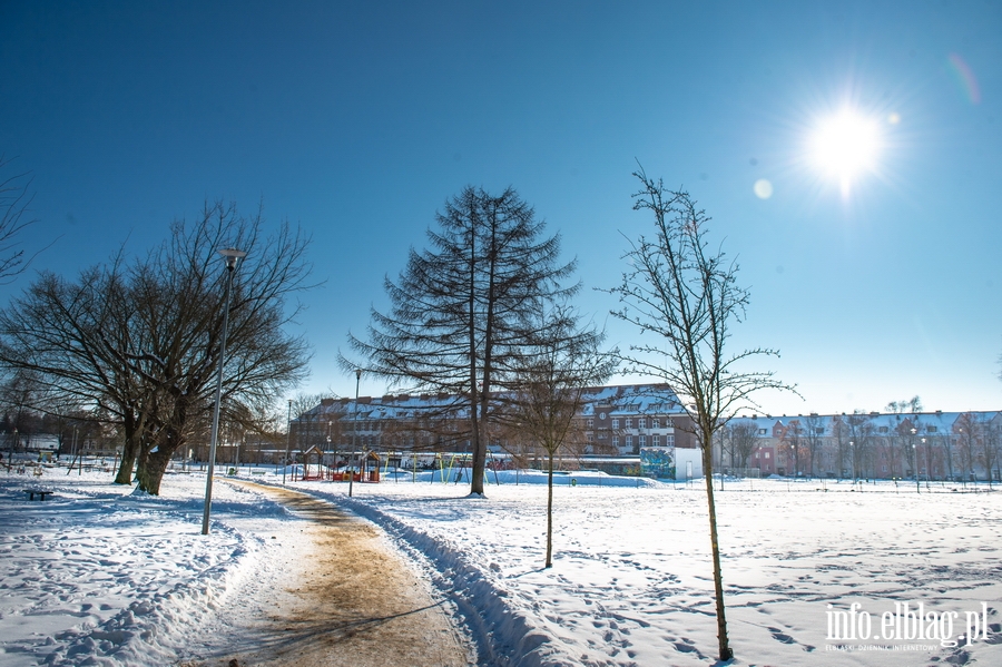 Park im. Generaa Bolesawa Nieczuja-Ostrowskiego zimow por, fot. 36