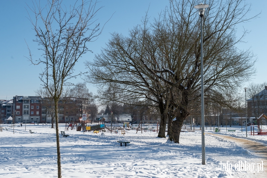 Park im. Generaa Bolesawa Nieczuja-Ostrowskiego zimow por, fot. 37