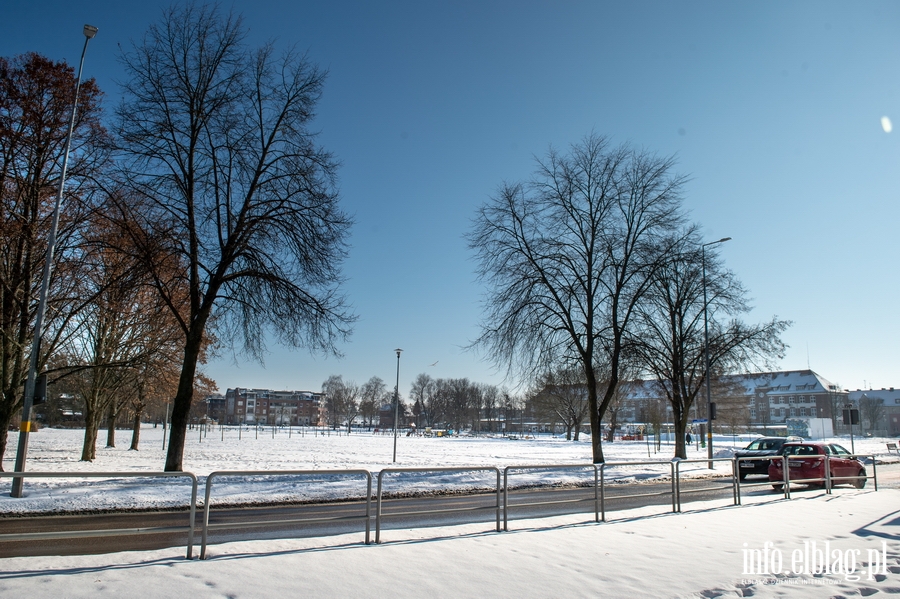 Park im. Generaa Bolesawa Nieczuja-Ostrowskiego zimow por, fot. 40