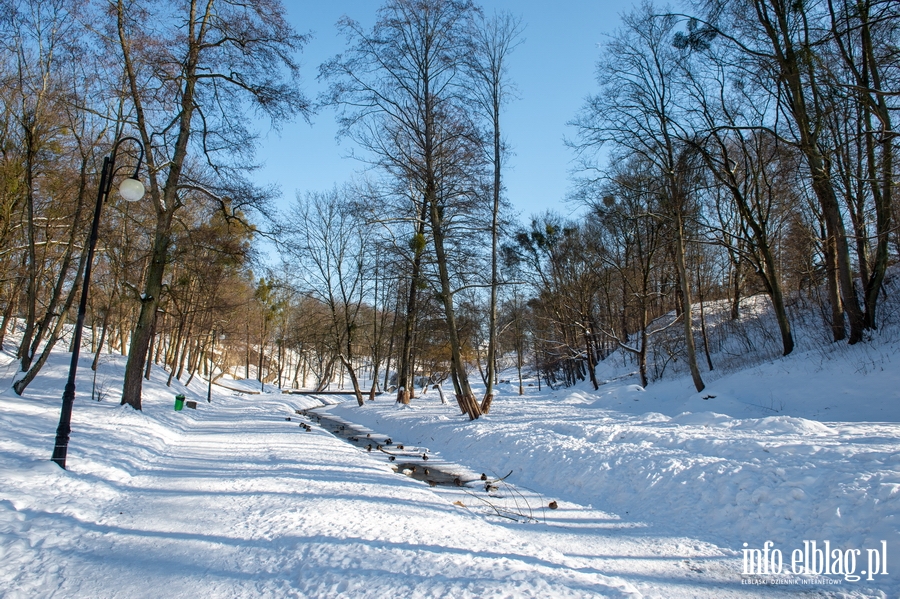 Park Dolinka zimow por, fot. 44