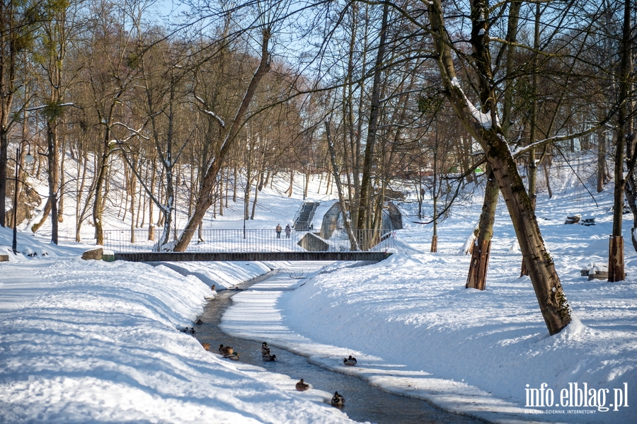 Park Dolinka zimow por, fot. 47