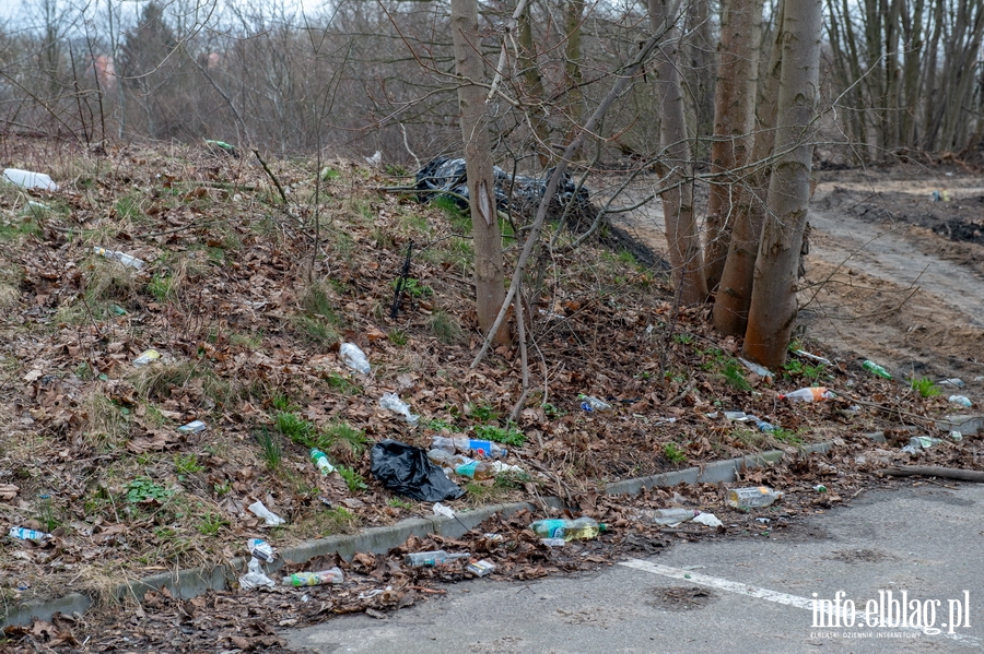 Zamiecony trawnik przy ul. Kwiatkowskiego na Modrzewinie , fot. 1