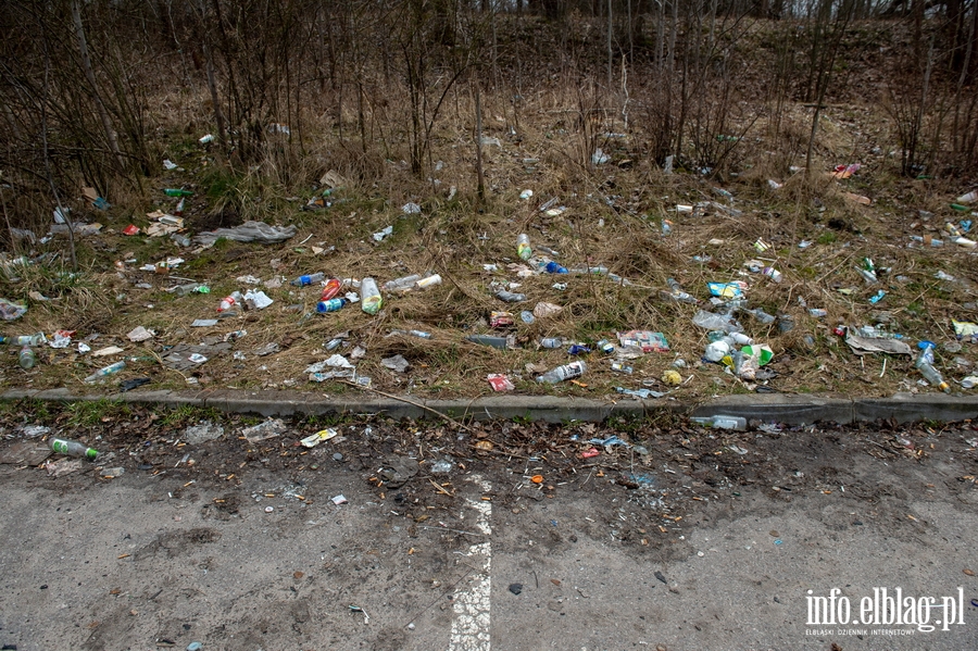 Zaśmiecony trawnik przy ul. Kwiatkowskiego na Modrzewinie , fot. 12