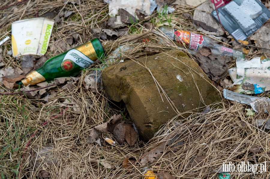 Zaśmiecony trawnik przy ul. Kwiatkowskiego na Modrzewinie , fot. 19