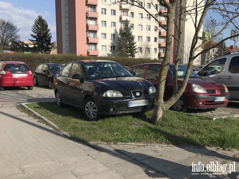 Mistrzowie parkowania w Elblgu (cz 88), fot. 8