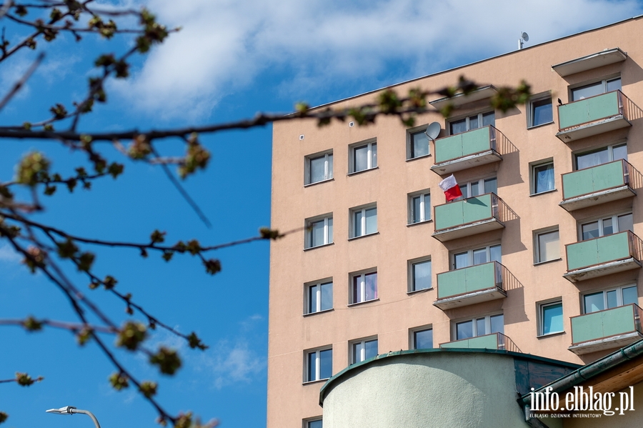 Święto flagi w cieniu epidemii. Tego dnia Elbląg był biało-czerwony, fot. 53
