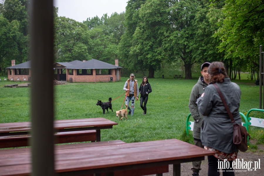 Nie dla obwodnicy w Baantarni, czyli ,,Drugi piknik z petycj", fot. 11