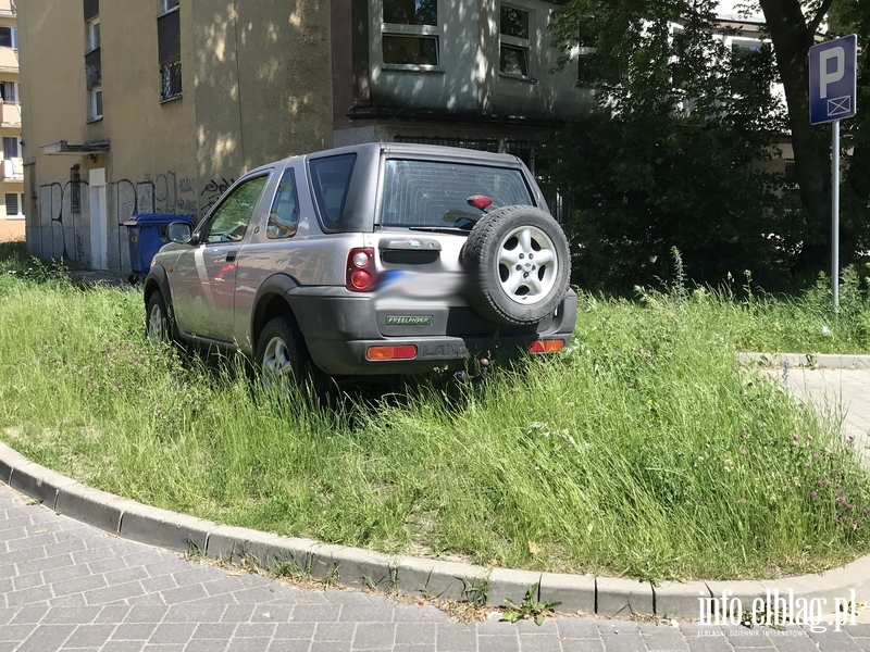 Mistrzowie parkowania w Elblągu (część 102), fot. 9