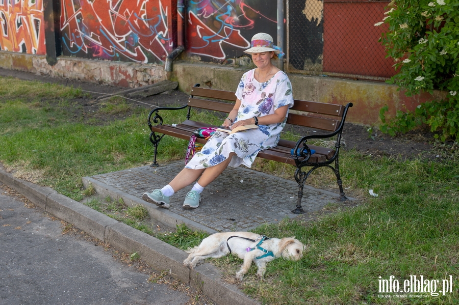 Elblskie wito Muzyki. Koncerty na ulicach starwki, a na fina Dwiczna Parada, fot. 69