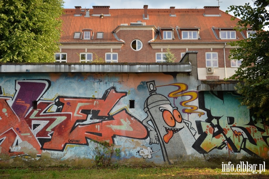 Deskorolki i hulajnogi, czyli show. Skaterzy poprowadzili warsztaty dla elblan, fot. 93