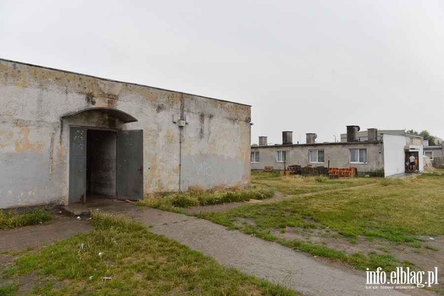 Przy ul.Skrzydlatej powstan 4 murale., fot. 19