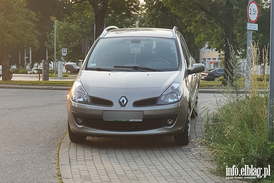Mistrzowie parkowania w Elblągu (część 110), fot. 3