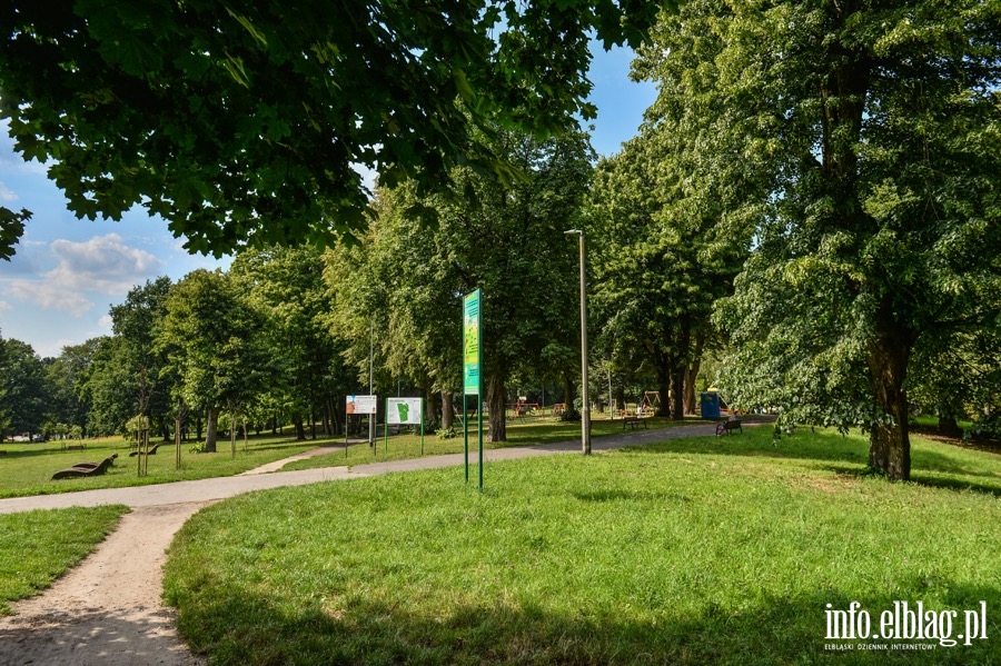 Mieszkańcy domagają się budowy wybiegu dla psów w Parku Modrzewia., fot. 3