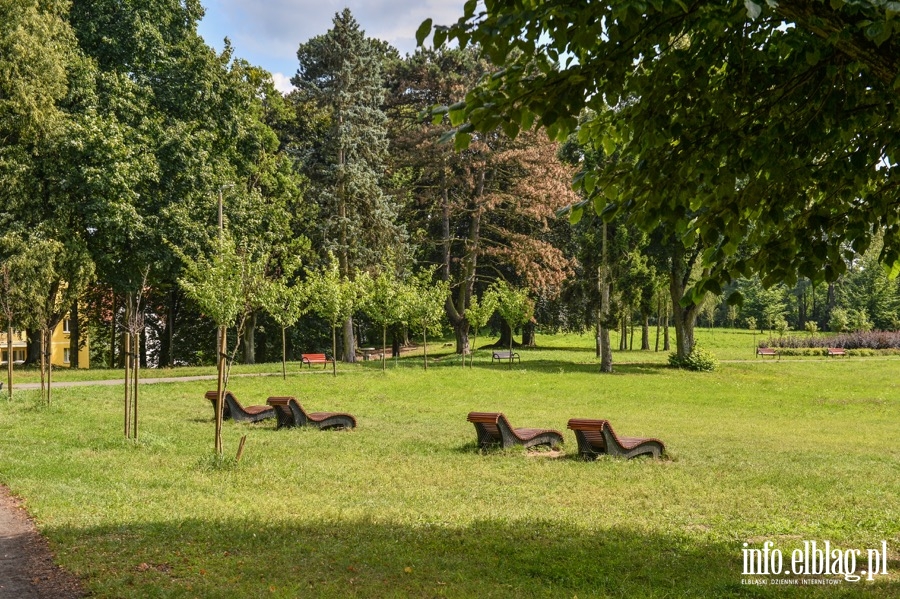 Mieszkacy domagaj si budowy wybiegu dla psw w Parku Modrzewia., fot. 5