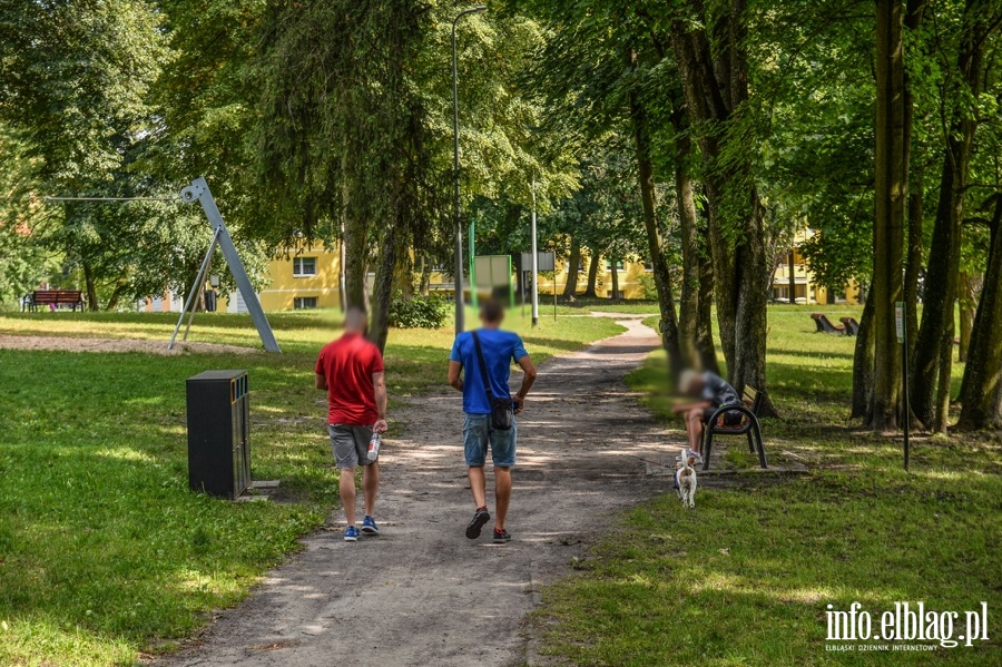 Mieszkacy domagaj si budowy wybiegu dla psw w Parku Modrzewia., fot. 7
