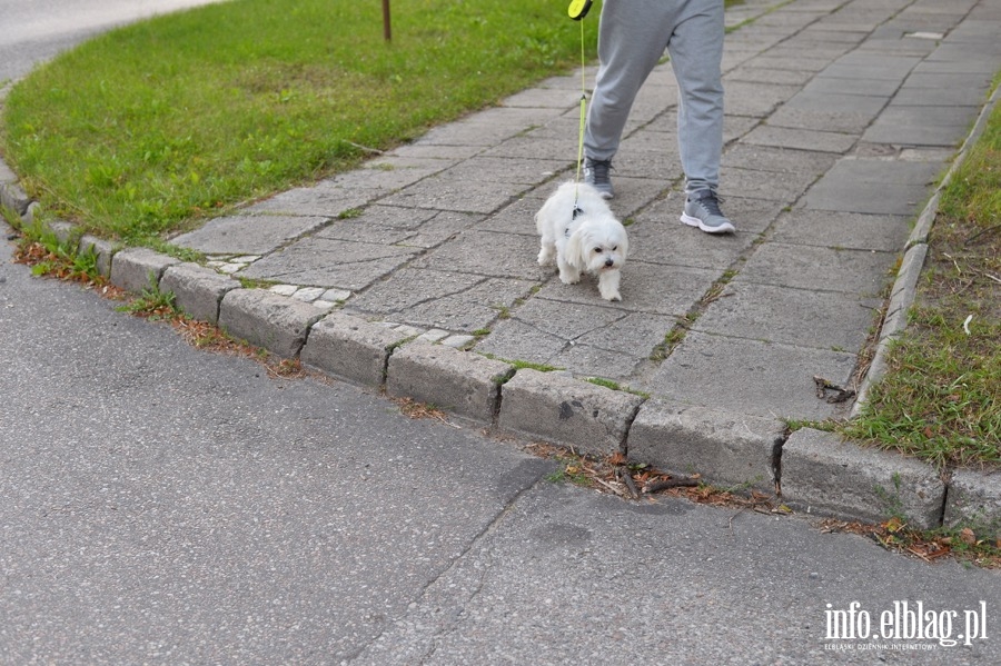 Na Grunwaldzkiej problem z chodnikami i brakiem cieki rowerowej, fot. 20