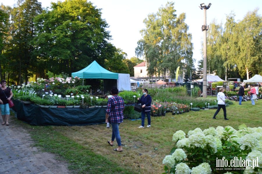 XXVI Jesienne Targi Ogrodnicze w Starym Polu, fot. 5